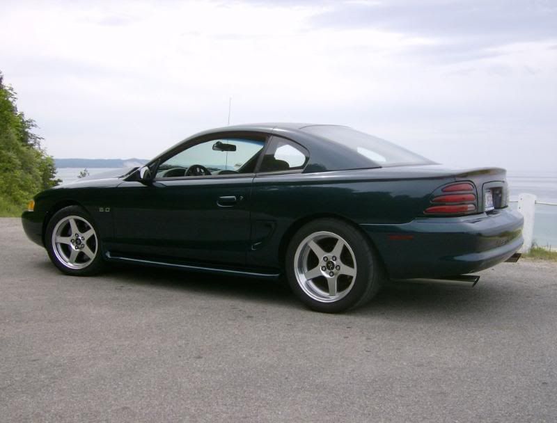 stang002.jpg