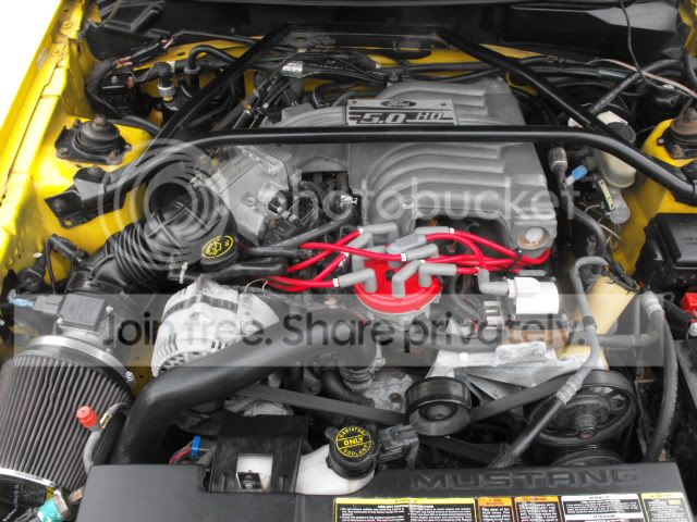 DSCF2842.jpg