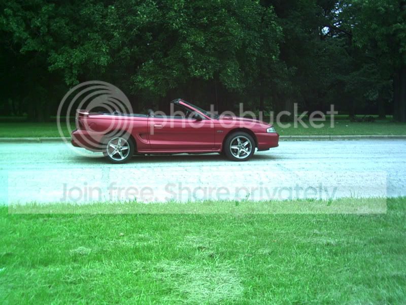 PICT0080.jpg