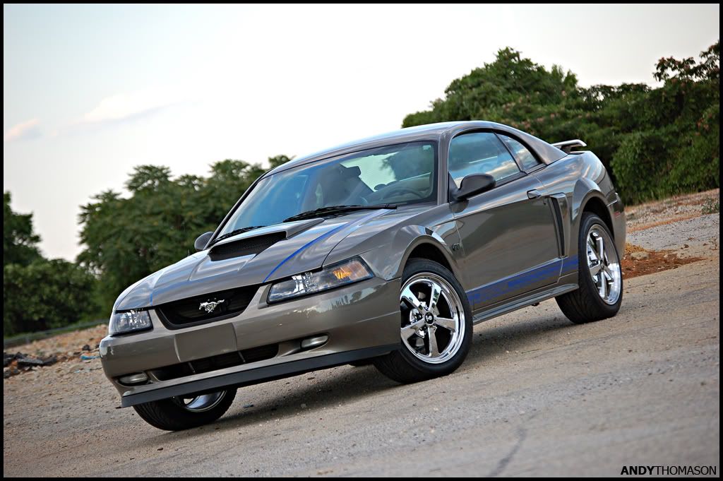 Mustangshoot48.jpg