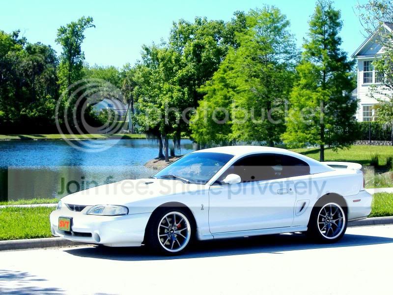 Cobra_Shoot4-6-11005.jpg