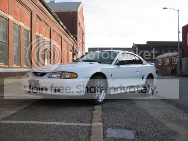 mustang_6.jpg