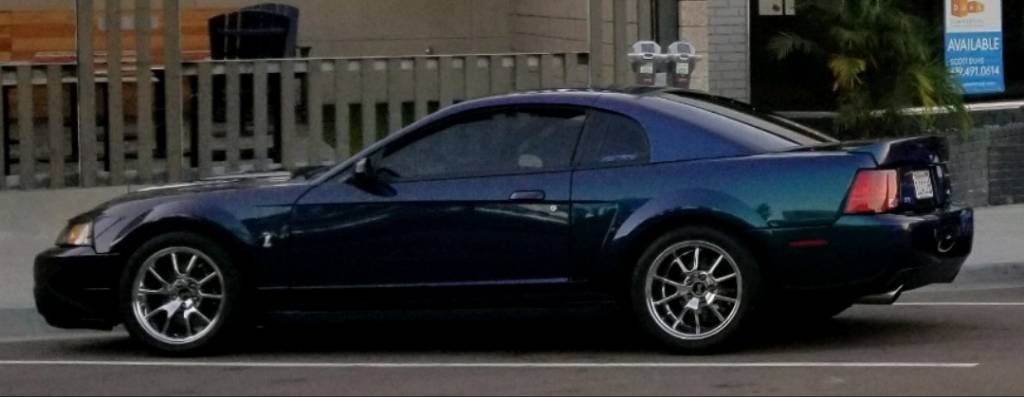 376f4c44efe6eb7fda3d7b13c548b710.jpg