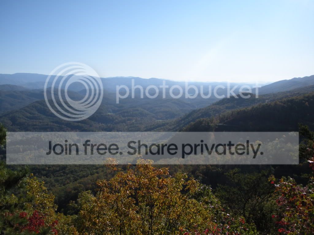 OCT081.jpg