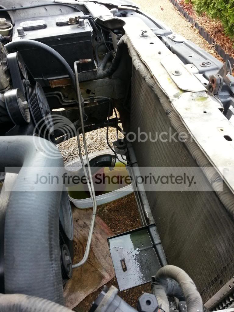 20131123_103921_zps5f93fecc.jpg