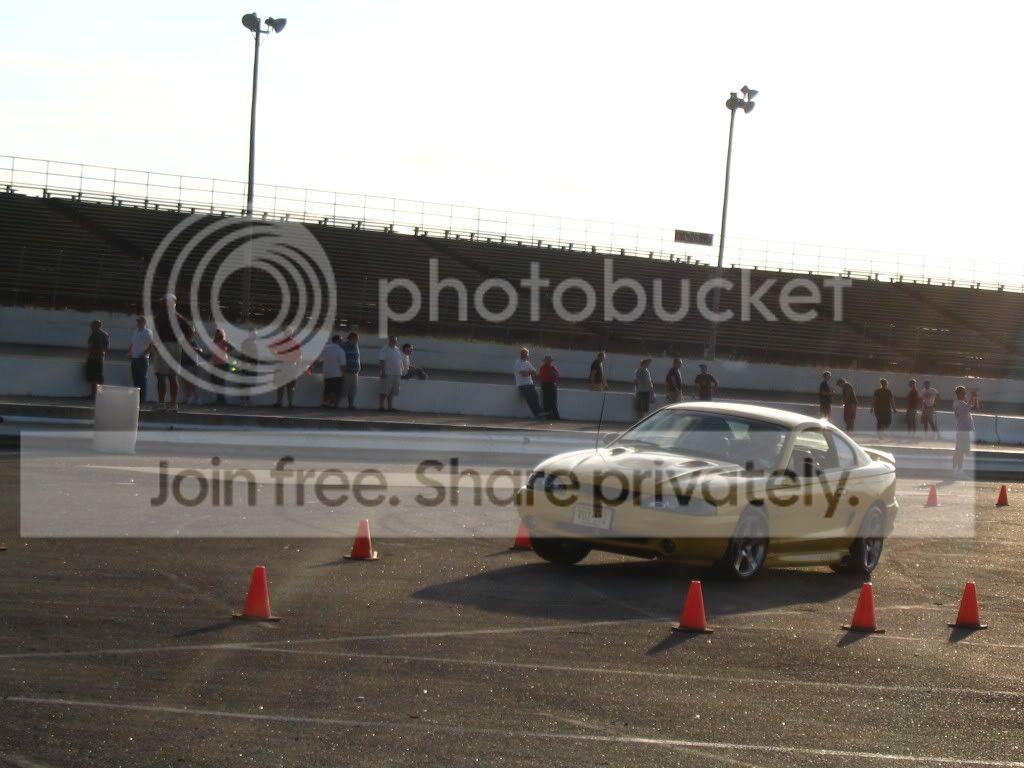 mustangweek403.jpg