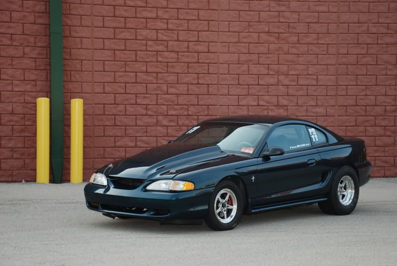 stang.jpg