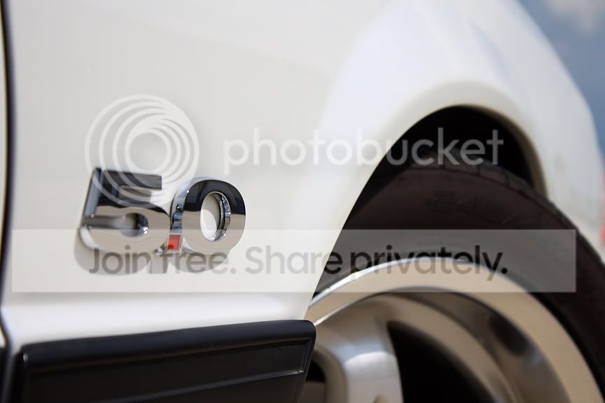 IMG_3533smaller.jpg