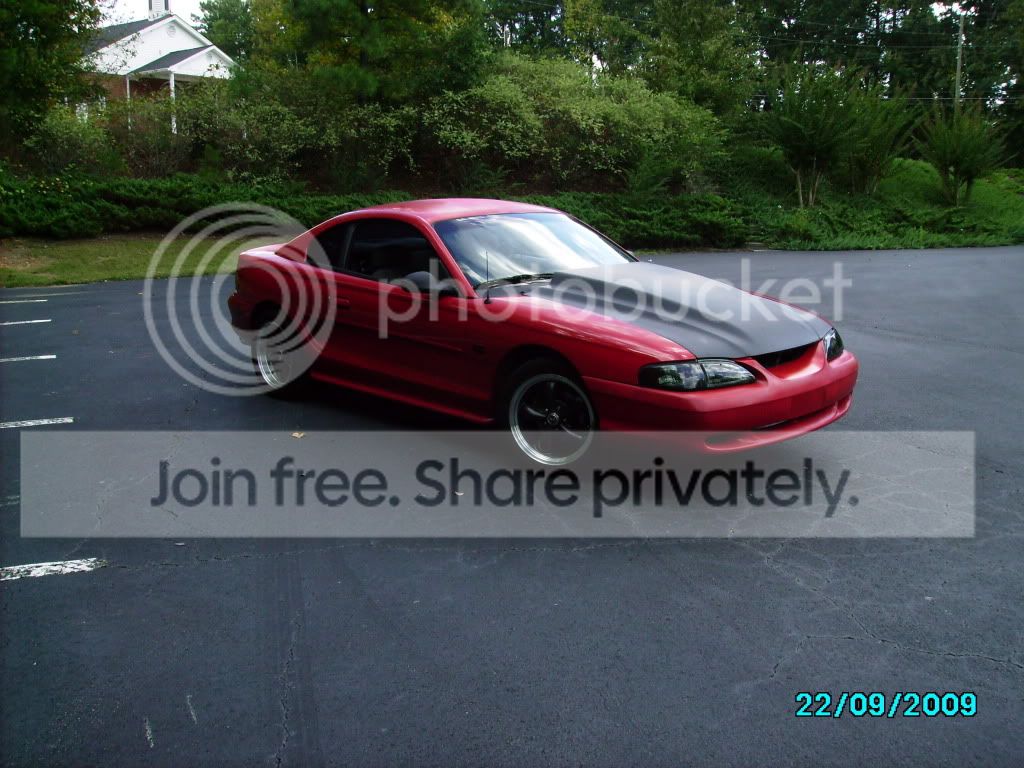 wingless3003.jpg