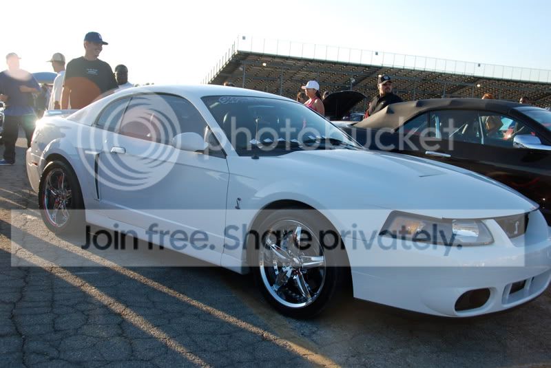 DSC_5638.jpg