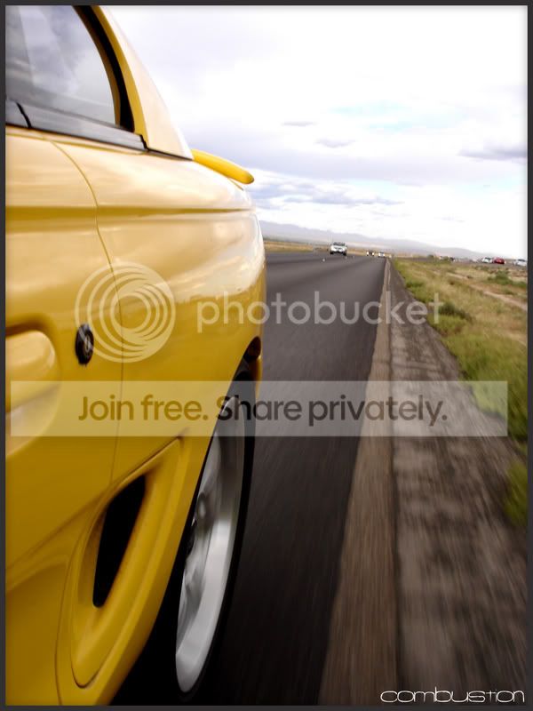 yellowshot1.jpg