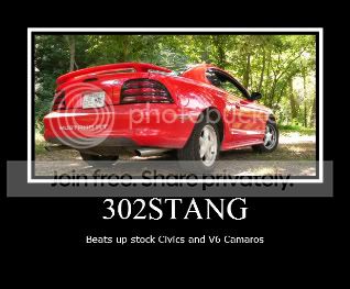 siggy-2.jpg
