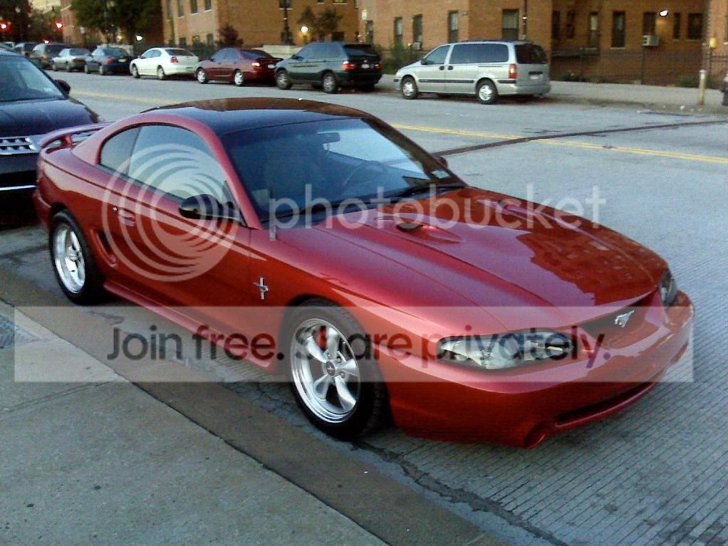 mustang06-1.jpg