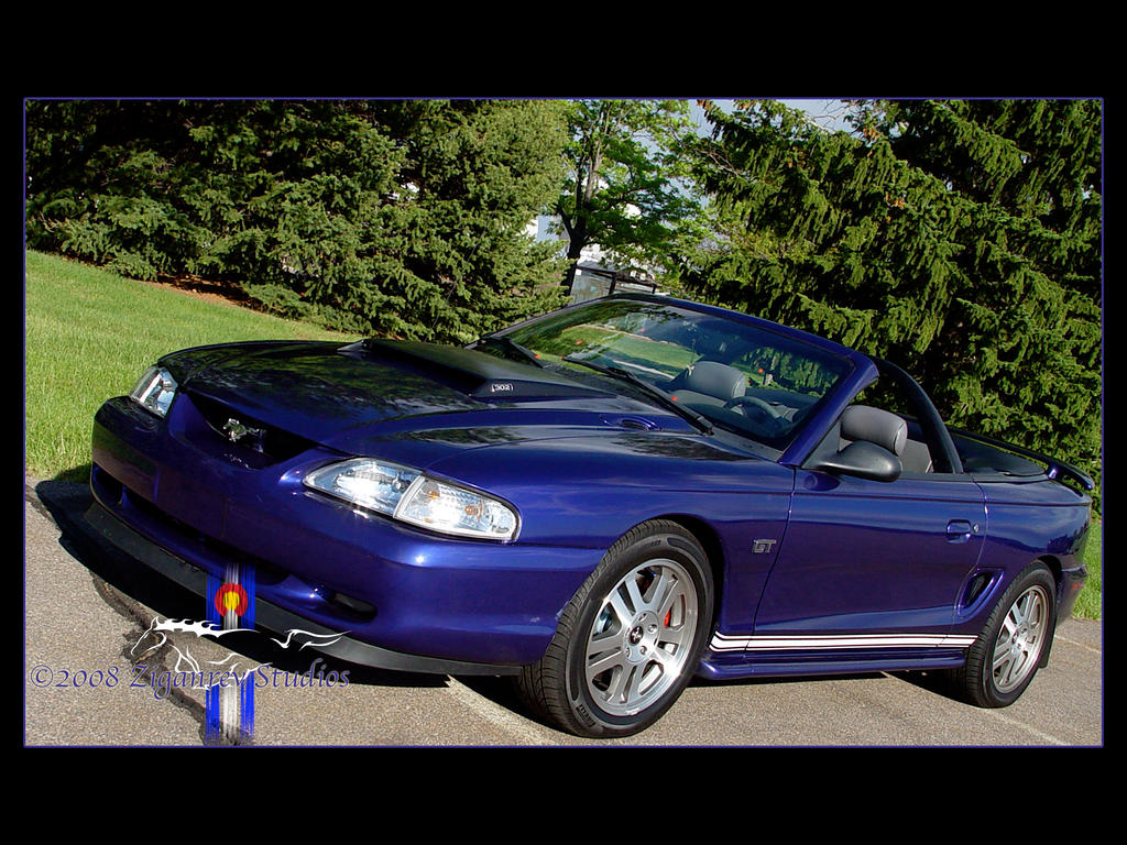 My_Stang_3_by_Anrev.jpg
