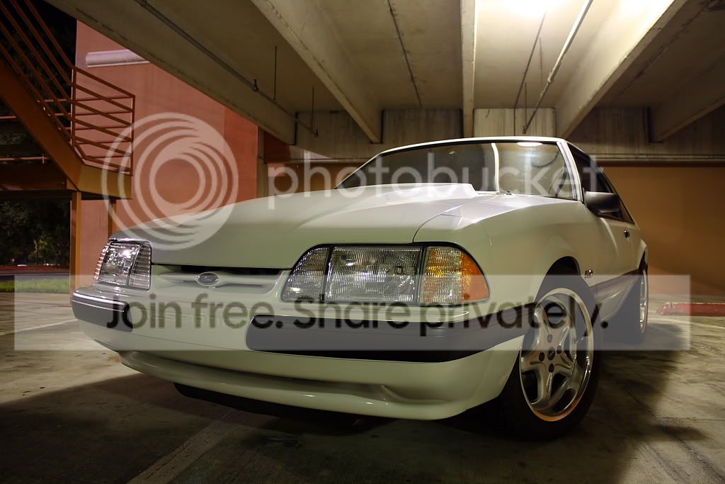 IMG_3559smaller.jpg