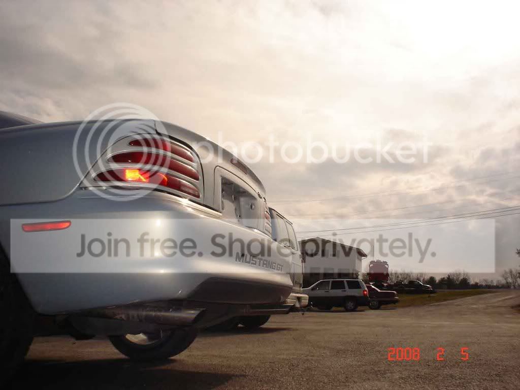 stang015.jpg