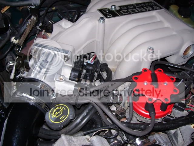 100_2526.jpg