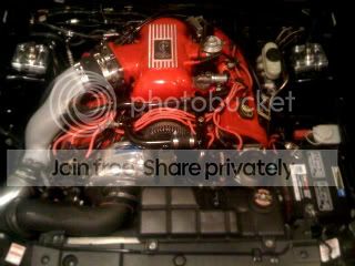 Cobra2-1-1.jpg