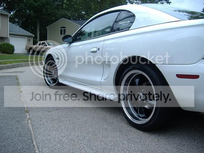 shelbywheels019.jpg