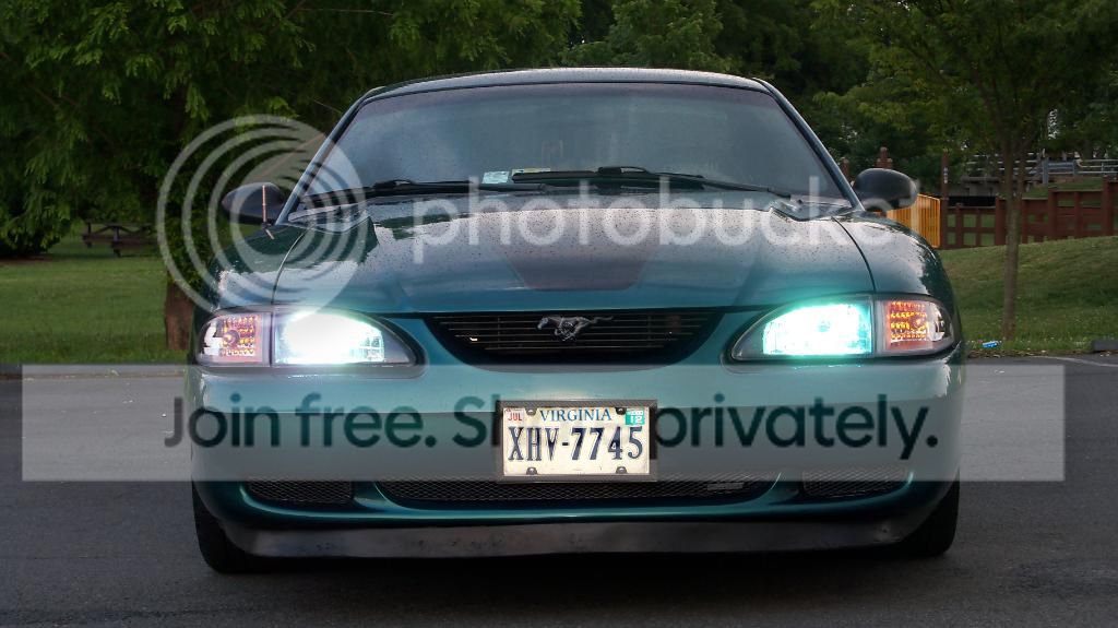 Stang063.jpg
