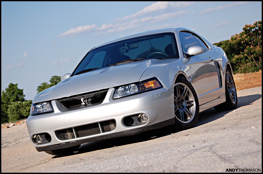 Mustangshoot6.jpg