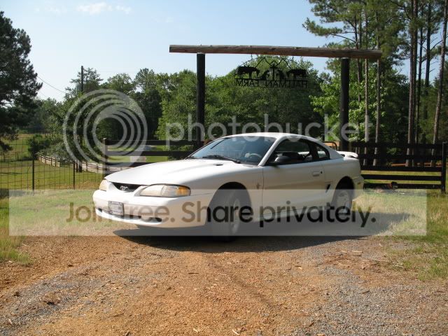 96Mustang_01.jpg