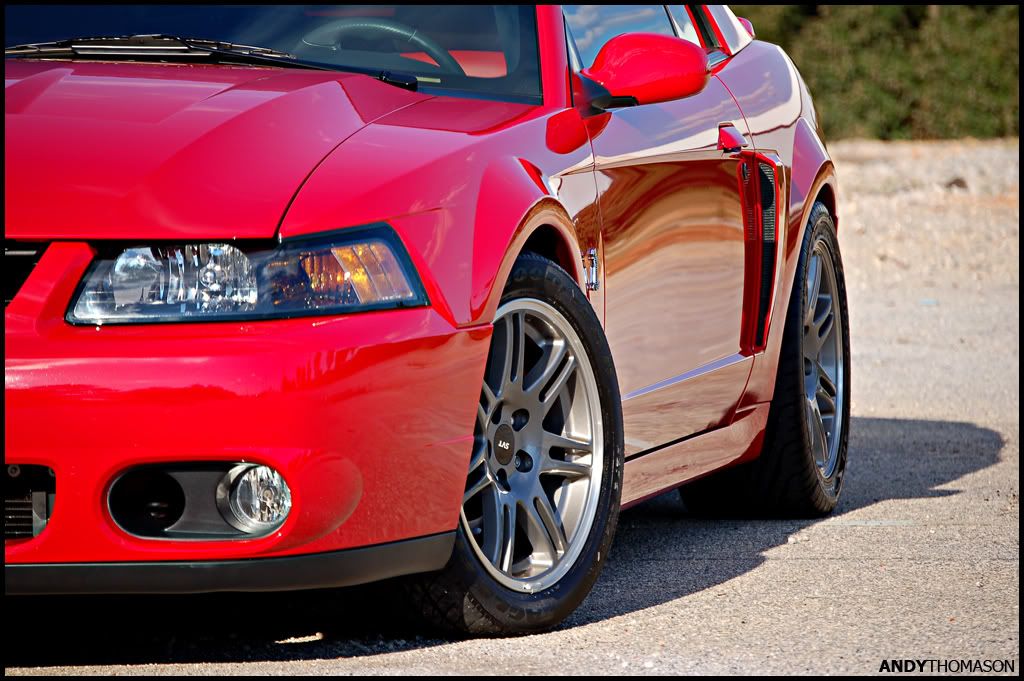 Mustangshoot19.jpg