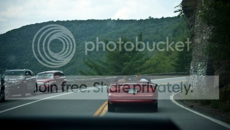 IMG_6084.jpg