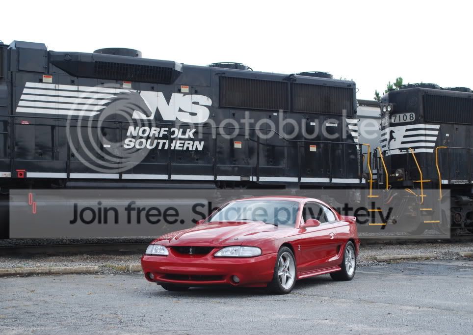 DSC_0776.jpg