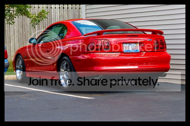 stang.jpg
