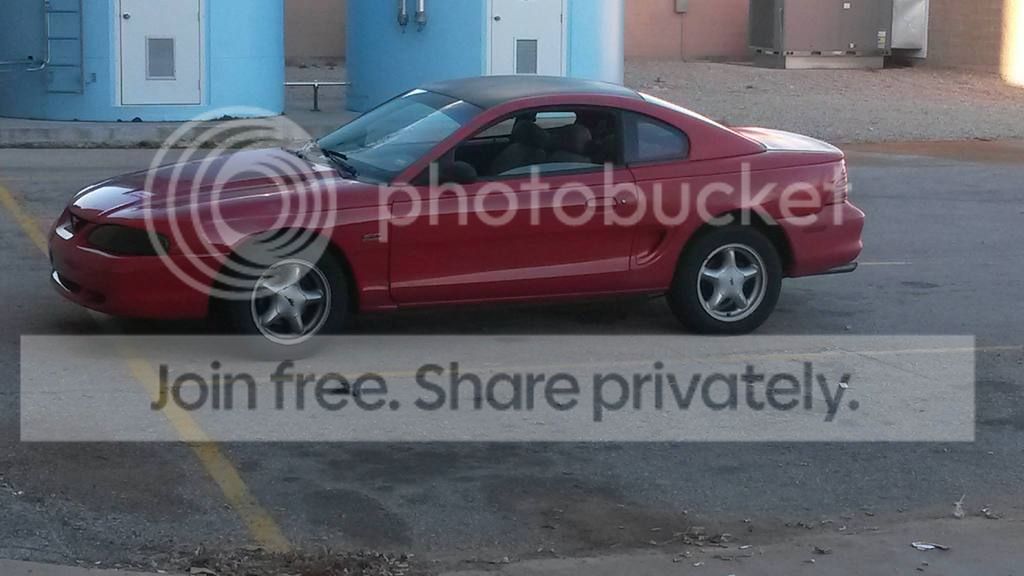 mustang_zpsyt7nevnd.jpg