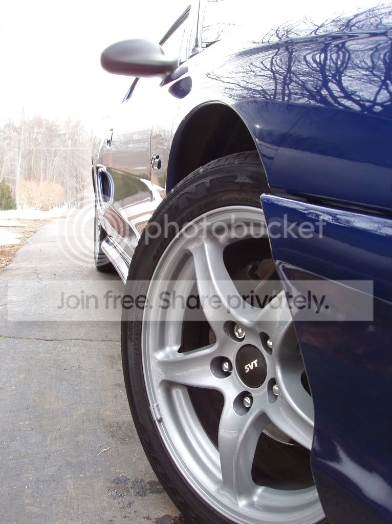 Mustang006.jpg