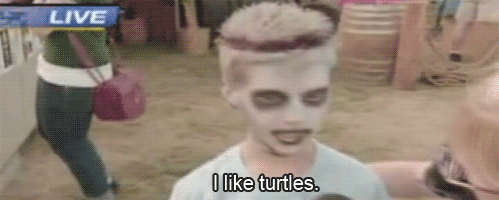tumblr_ltw651AdCL1r4pp8no1_500.gif