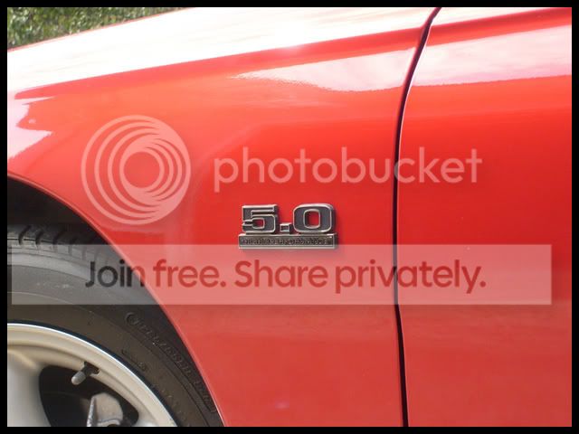 SellPictures002.jpg