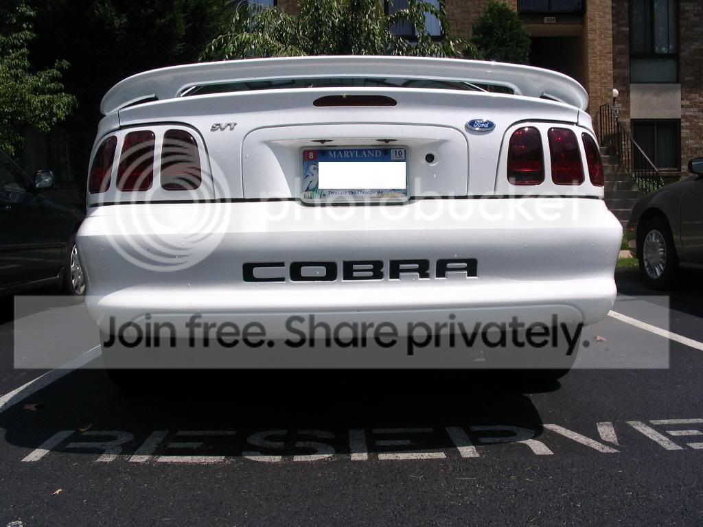 cobra001.jpg