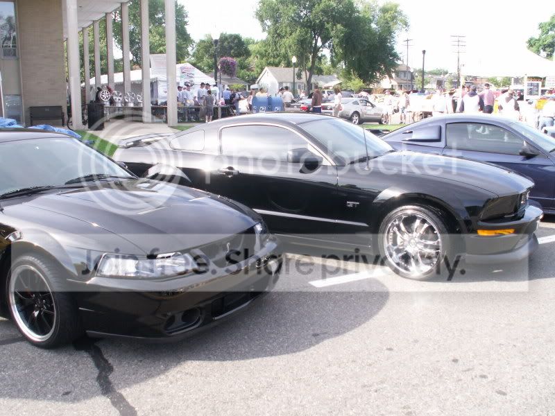 Mustangs050.jpg