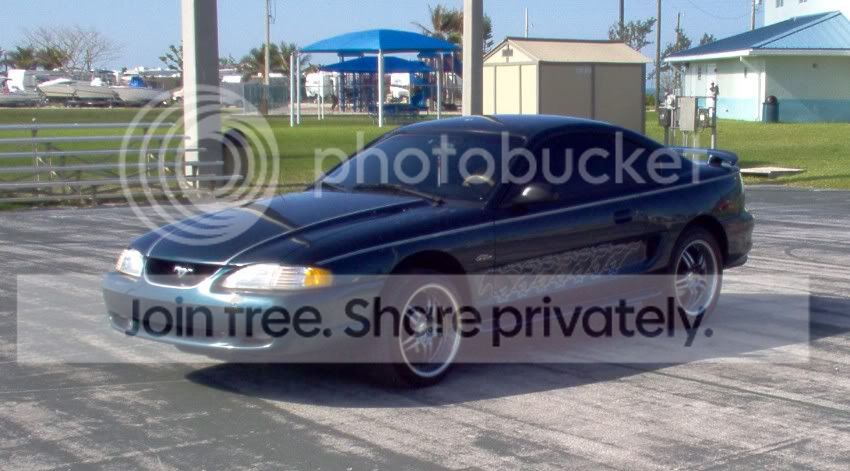 Car006.jpg