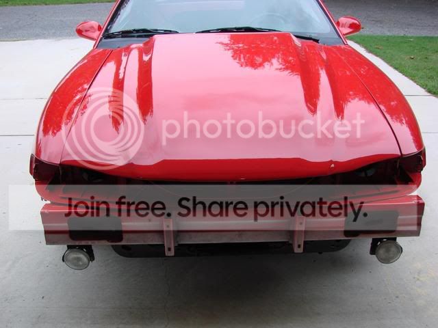MustangPaintPics039.jpg