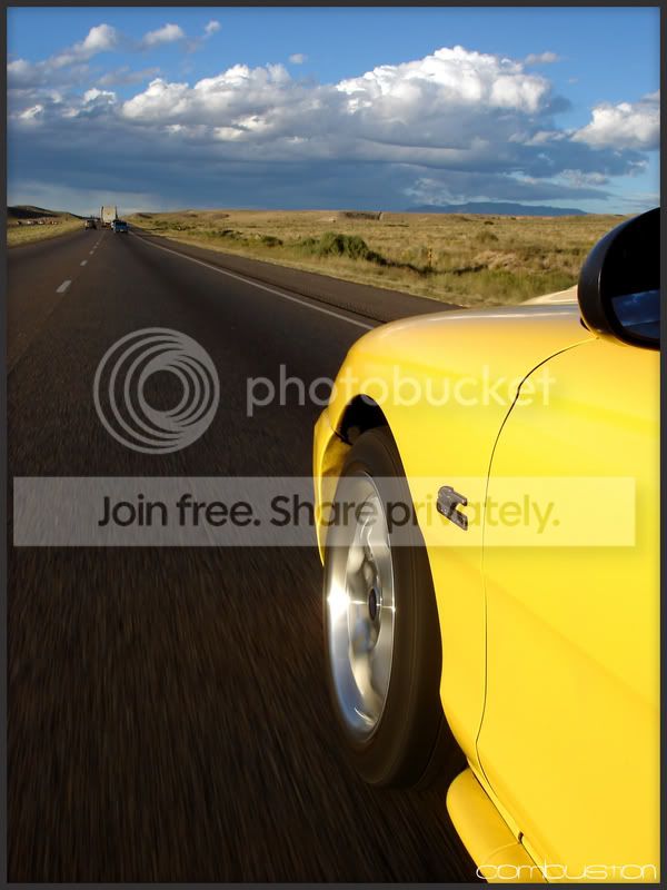 yellowshot2.jpg