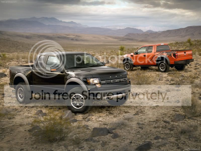 raptor21.jpg