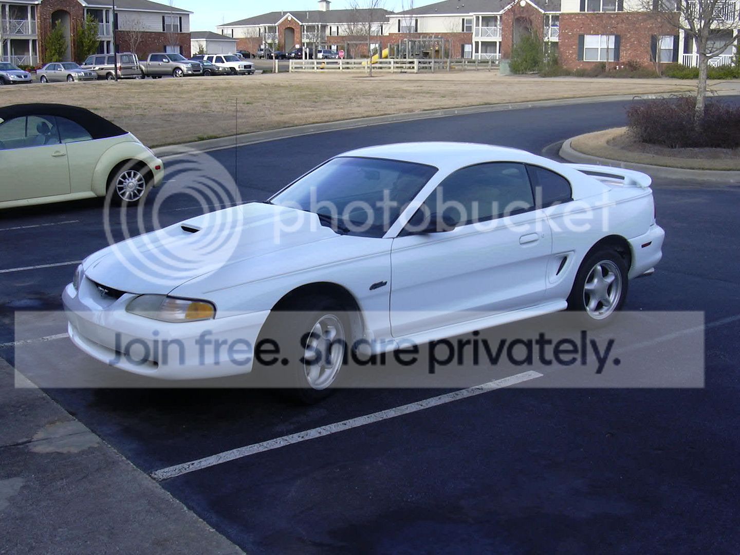 Mustang1.jpg