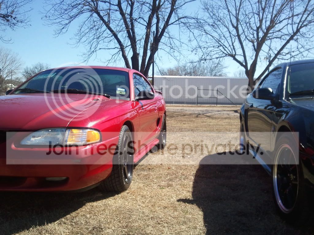 2011-02-06123016.jpg
