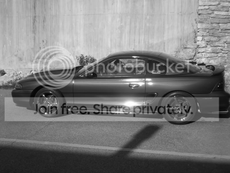 100_1264.jpg