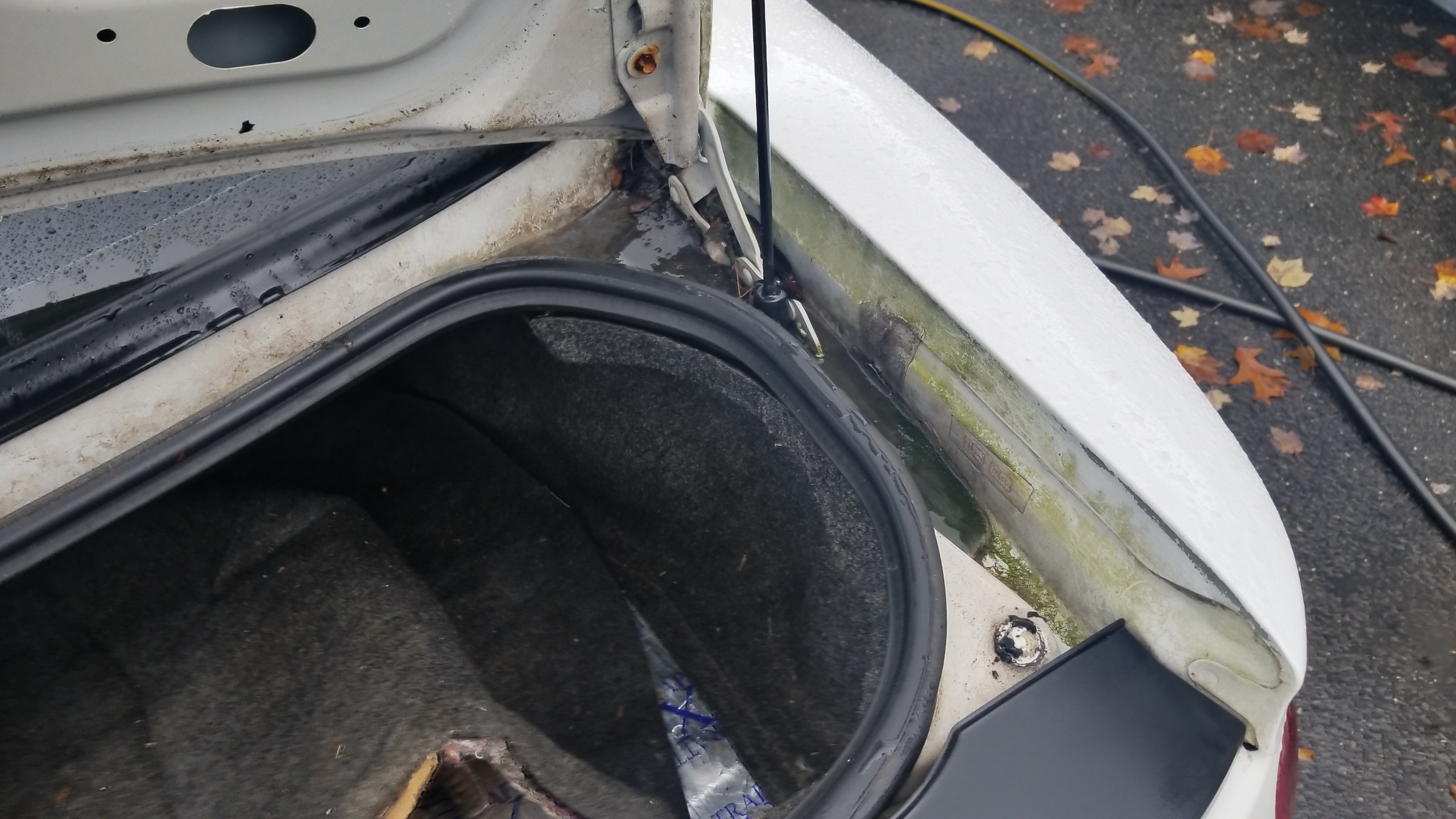 Wj8DCQF.jpg
