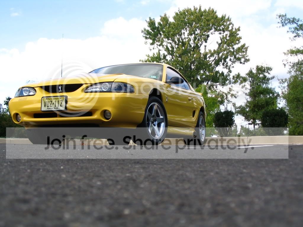 cobra099.jpg