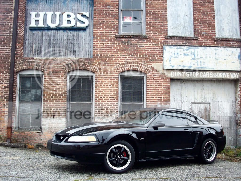 car291.jpg
