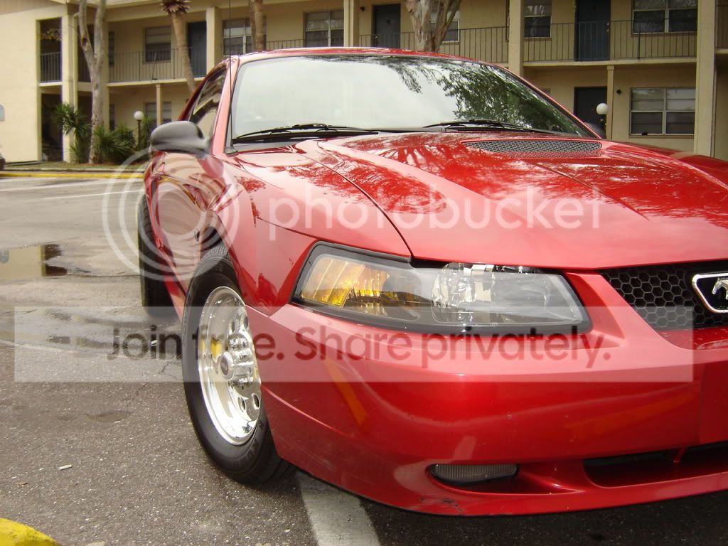 01front.jpg