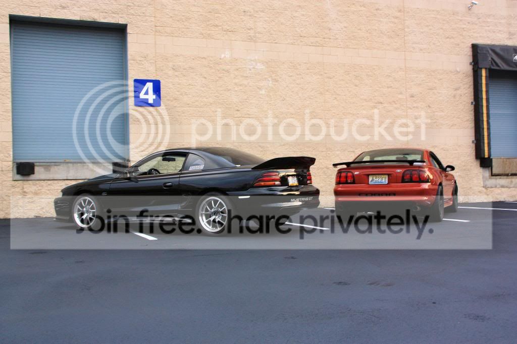 IMG_1782_zps62df3ee6.jpg