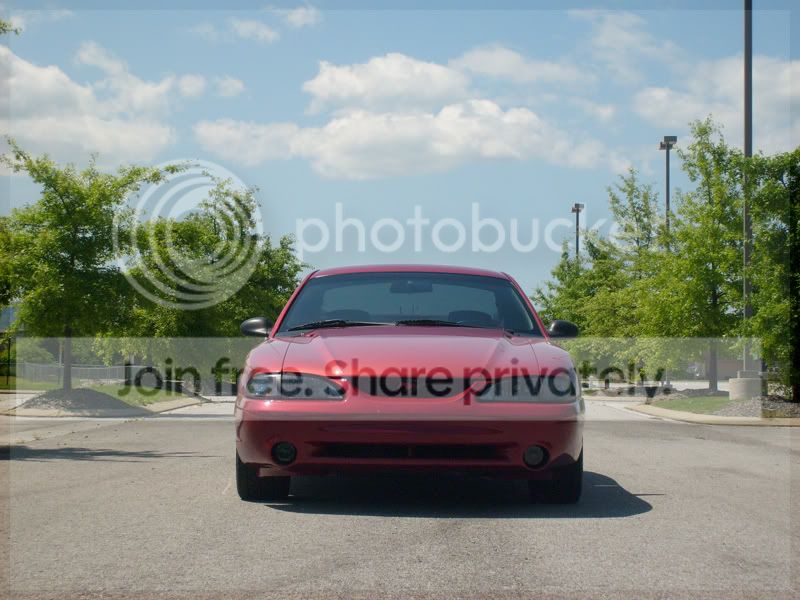 driveway002.jpg
