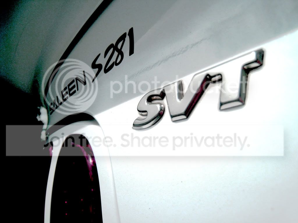 IMG_6380_chopped.jpg
